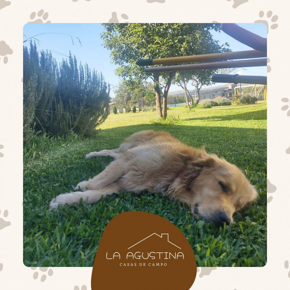 CASA QUINTA EN ALQUILER - POTRERO DE GARAY - PET FRIENDLY 